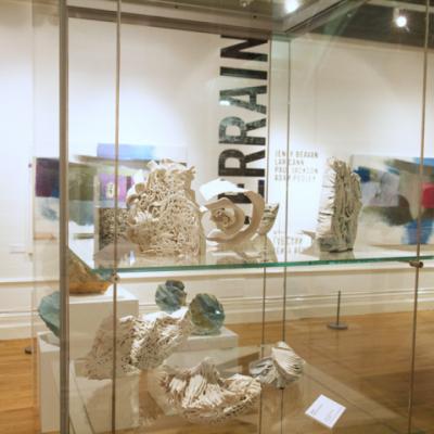 Terrain, Royal Cornwall Museum, September 2014